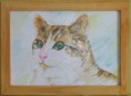 /album/animaux/le-minet-dalexandra-30-x-40-cm-jpg/